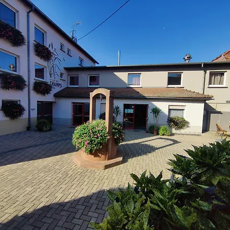 La Clef Des Champs - Proche Colmar Biesheim