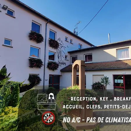 La Clef Des Champs - Proche Colmar Hotell 2*