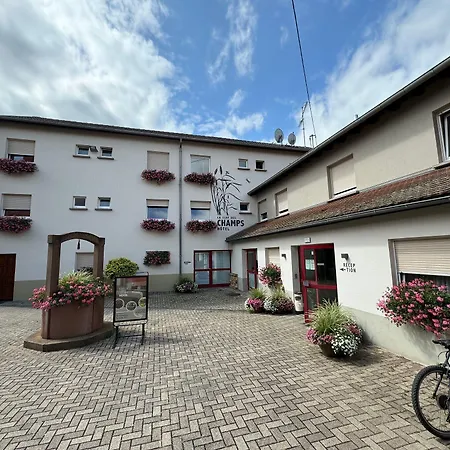 Hotel La Clef Des Champs - Proche Colmar