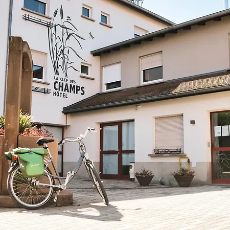 La Clef Des Champs - Proche Colmar Hotel