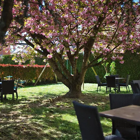 La Clef Des Champs - Proche Colmar Hotel 3*